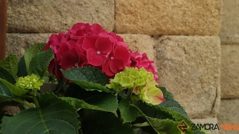 mar restaurante espa&ntilde;a  (1)