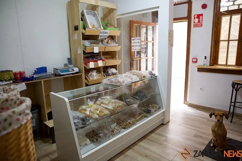 toro emprendedores (8)