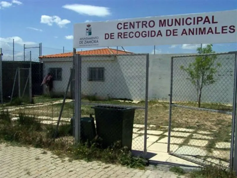 perrera municipal