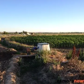 FERDUERO
