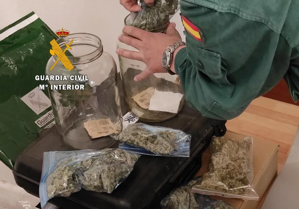 foto archivo marihuana
