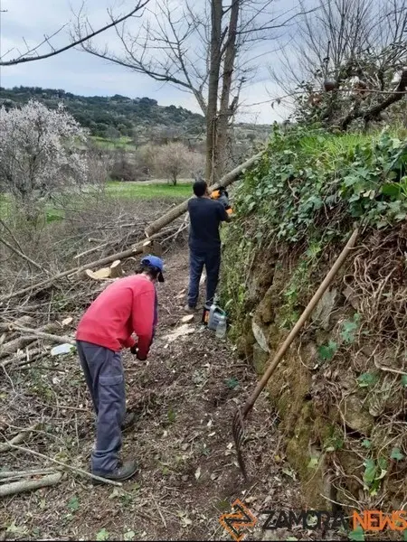 Labores de desbroce en Fermoselle. Foto Facebook