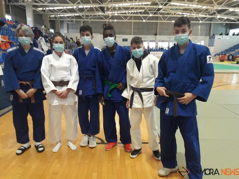judo cyl