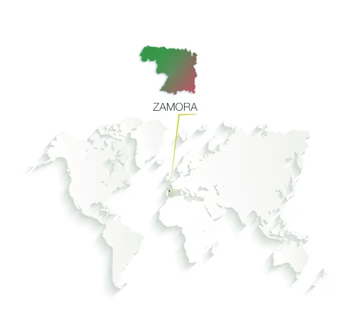 ilustracion mapa