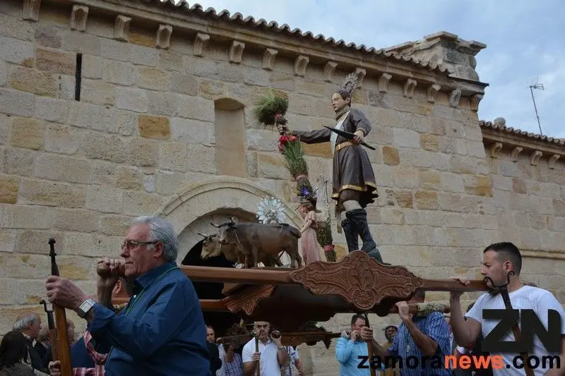san isidro labarador