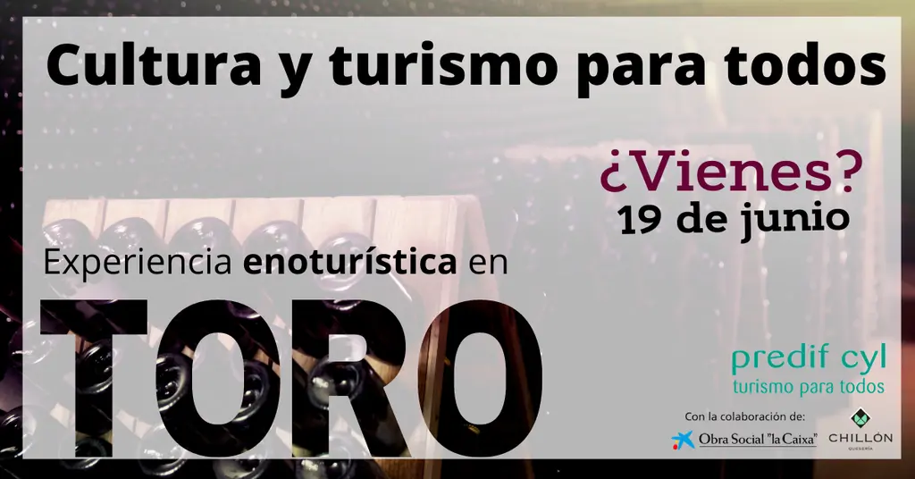 NdP Toro, nuevo destino de las experiencias inclusivas de PREDIF CyL