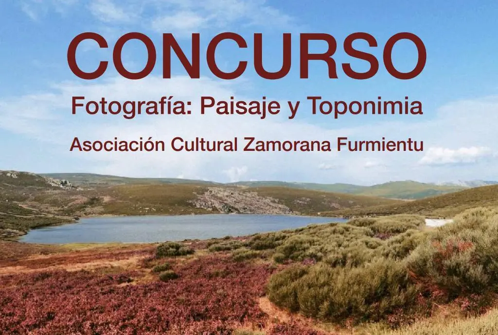 concurso furimentu