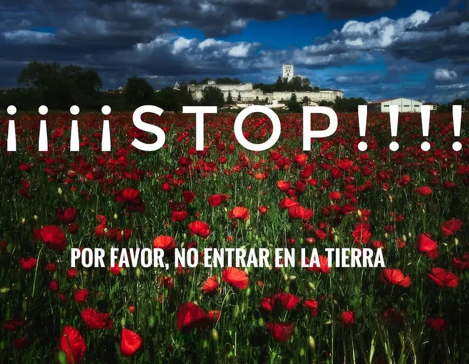 Imagen de la petición lanzada en Facebook