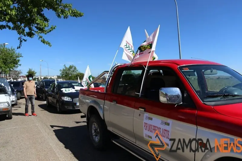 Manifestación La Unión de Zamora - UCCL Zamora