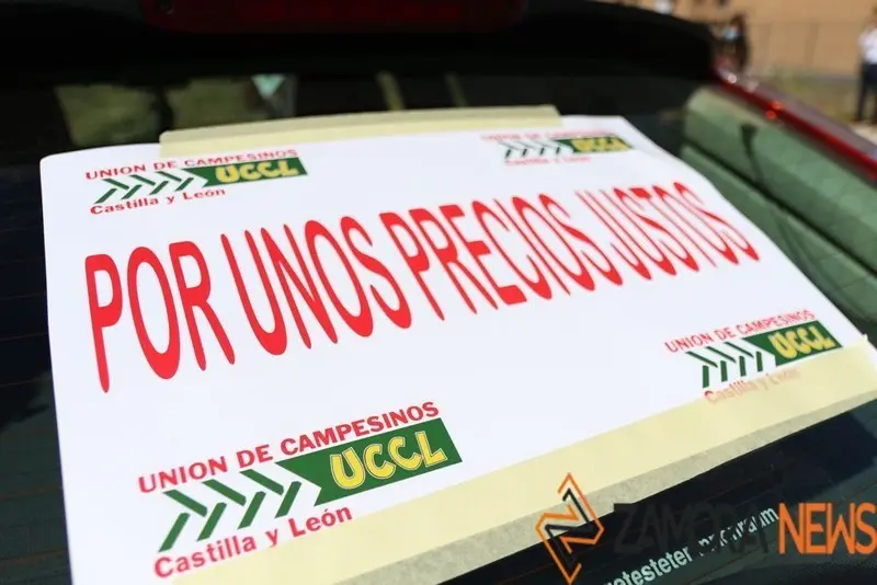 Manifestación La Unión de Zamora - UCCL Zamora