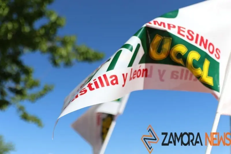 Manifestación La Unión de Zamora - UCCL Zamora