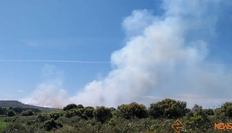 ferreruela fuego