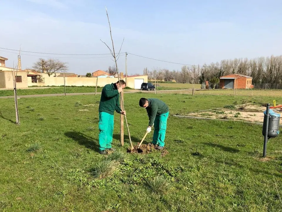 Operarios realizando labores de limpieza y mantenimiento en el Ayuntamiento de Morales del Vino