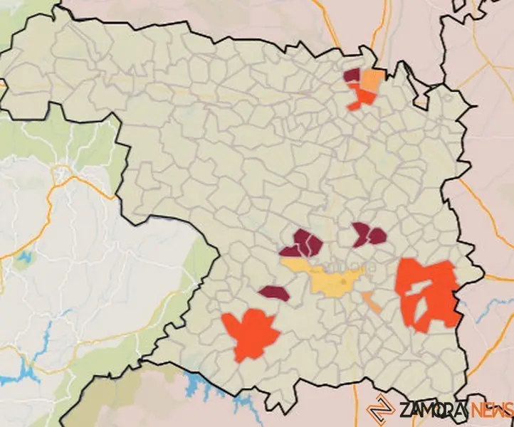 Mapa de incidencia por municpios