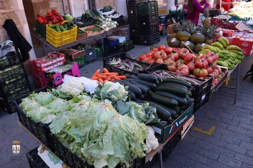 Mercado benavente