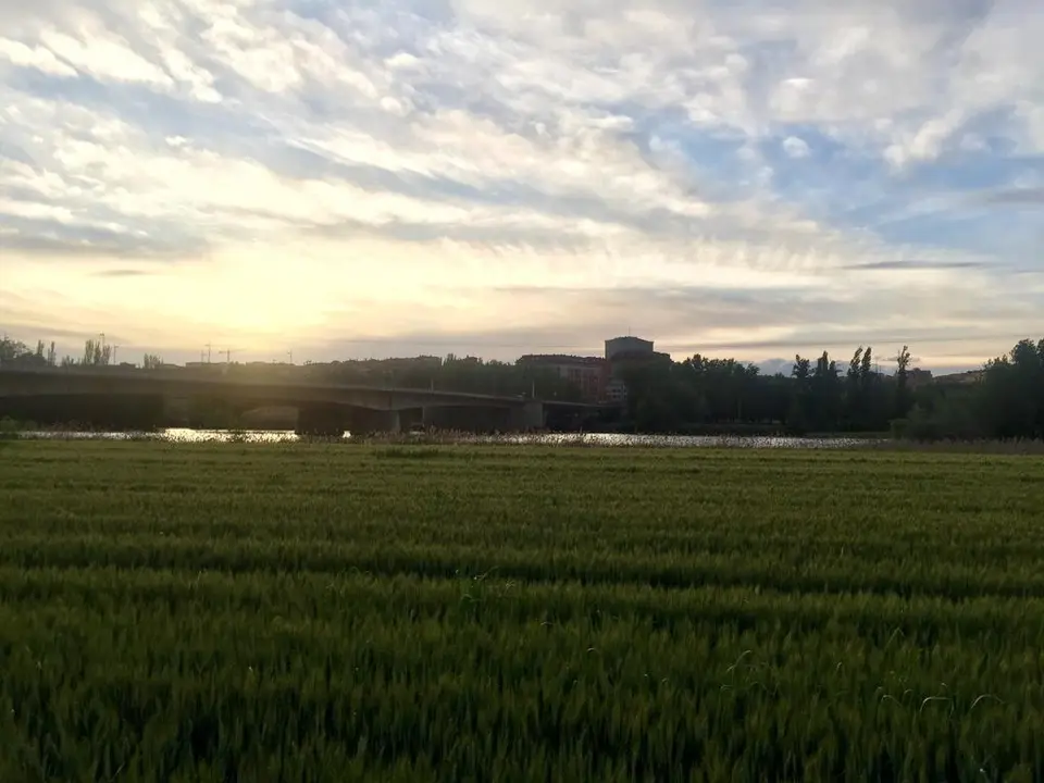 Zamora desde el Duero