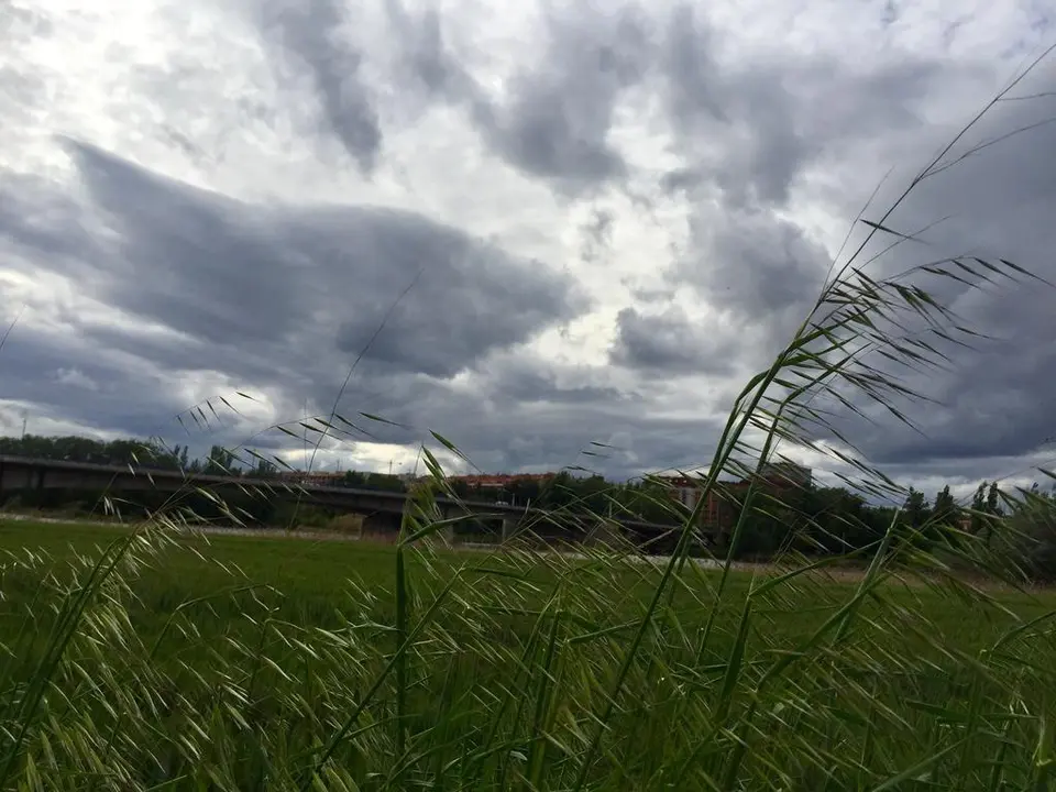 Campo junto al río Duero