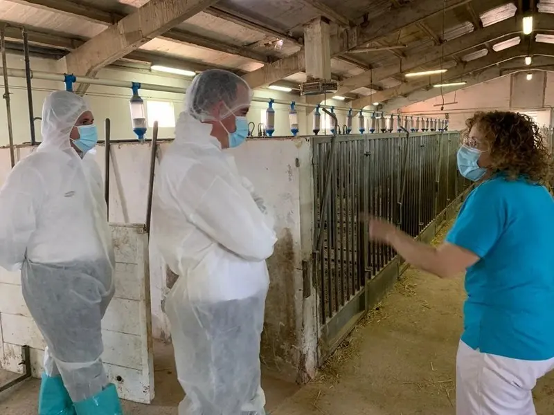 Visita al Centro de Porcino en Coreses