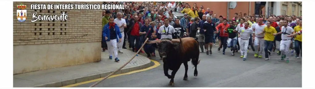 Toro Enmaromado