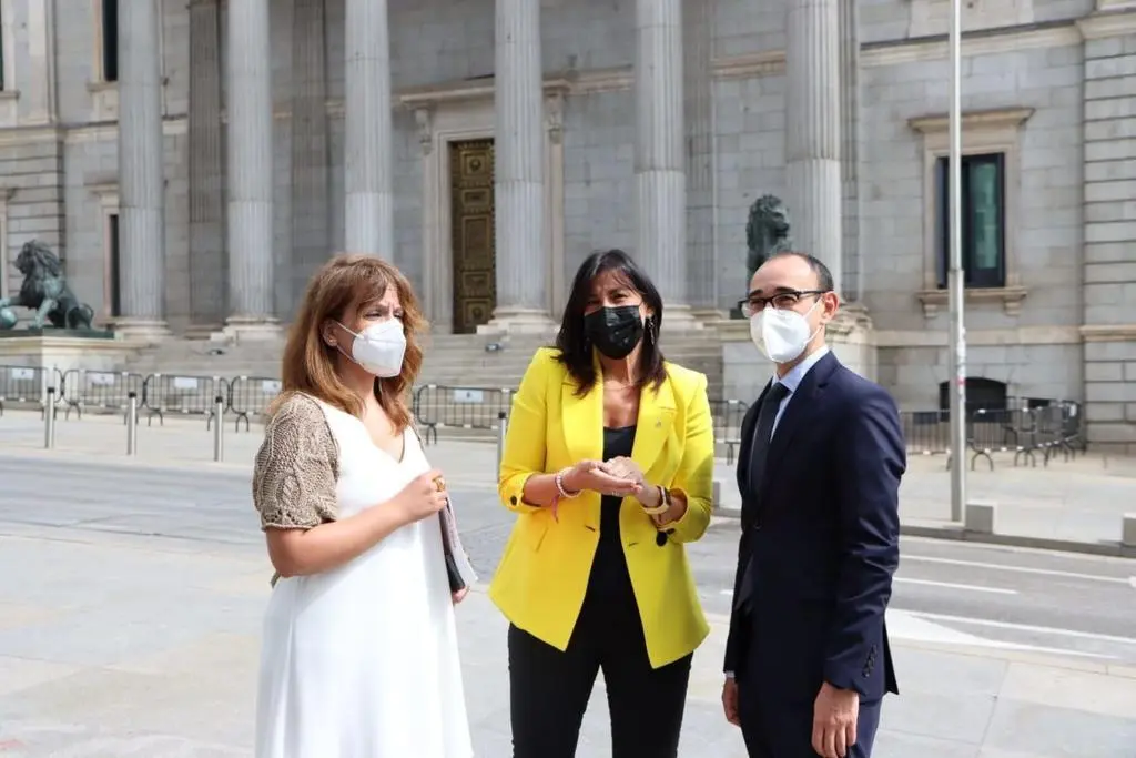 Ana Sánchez a las puertas del Congreso