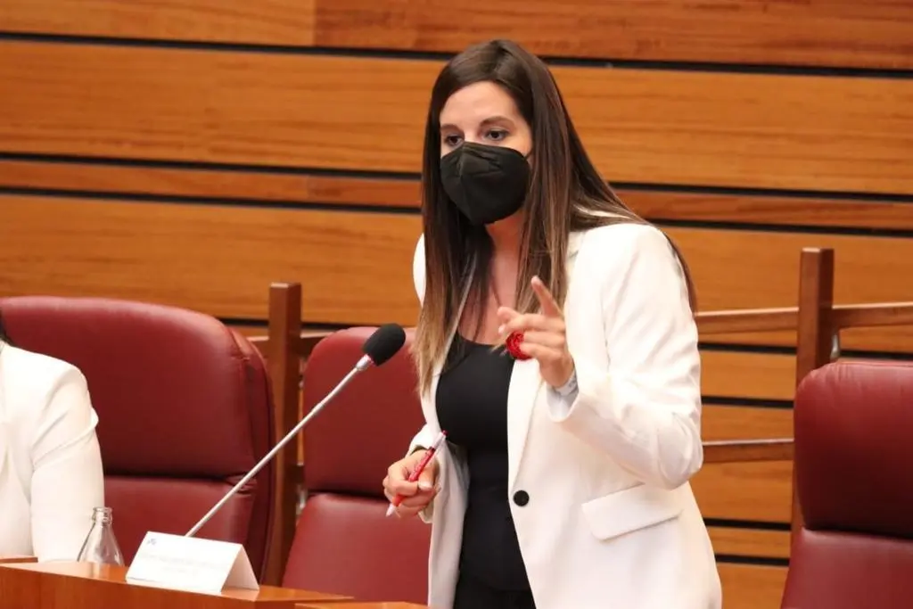 La coordinadora de Familia del Grupo Parlamentario Socialista, Nuria Rubio