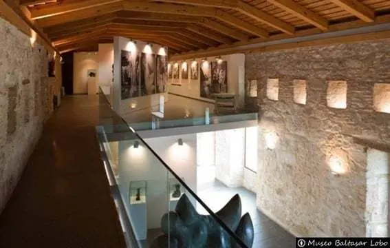 Museo Baltasar Lobo