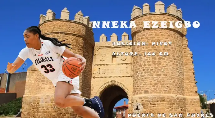 Nneka Ezeigbo