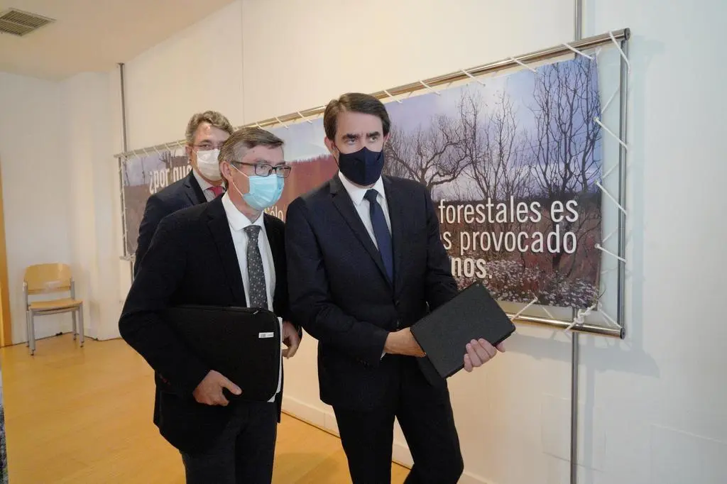 Repoblación Forestal