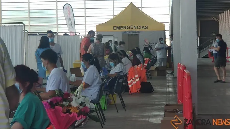 vaunaciones zamora