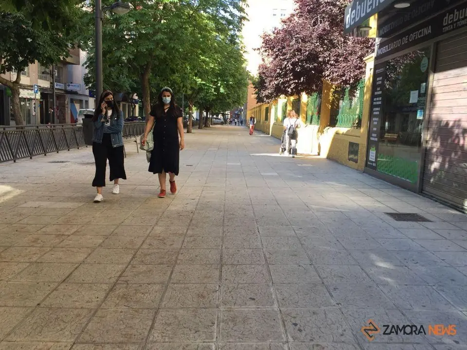 Zamoranos por la avenida Príncipe de Asturias