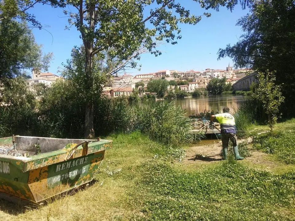 Limpieza río-2