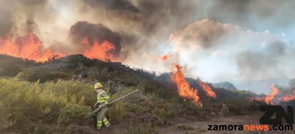 fuego zamora hermisende