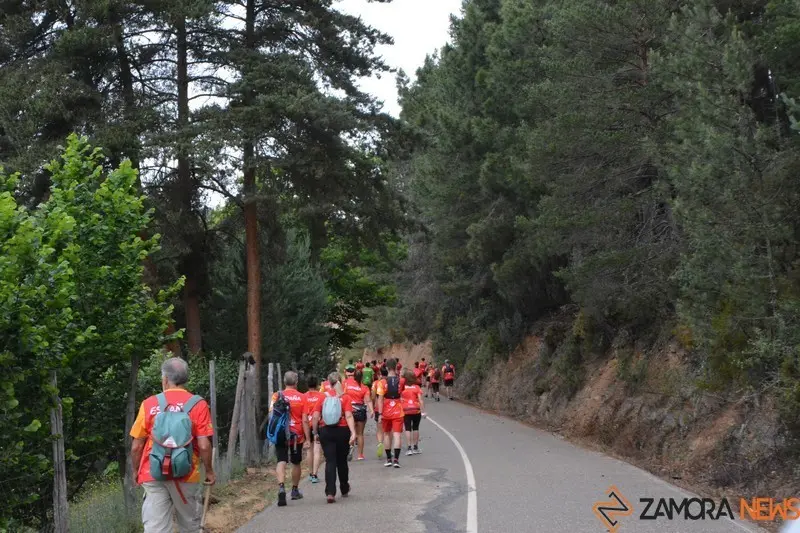 transfronteriza (141)
