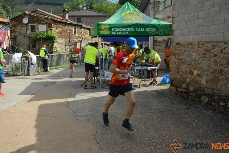 transfronteriza (252)