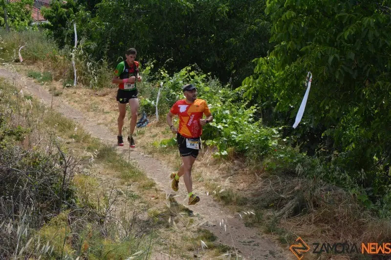transfronteriza (330)