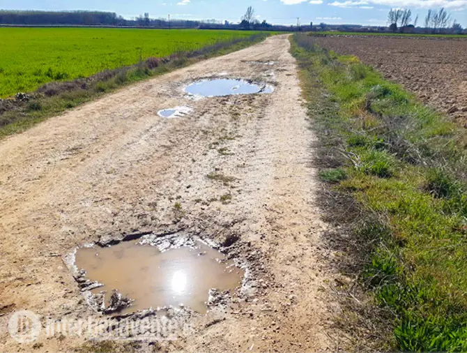 Aspecto que presentan algunos de los caminos en Benavente. Fotografía: Interbenavente.es