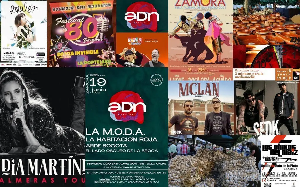 fiestas san pedro