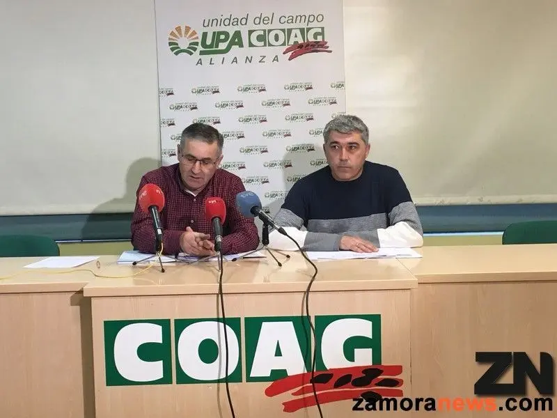 upa zamora