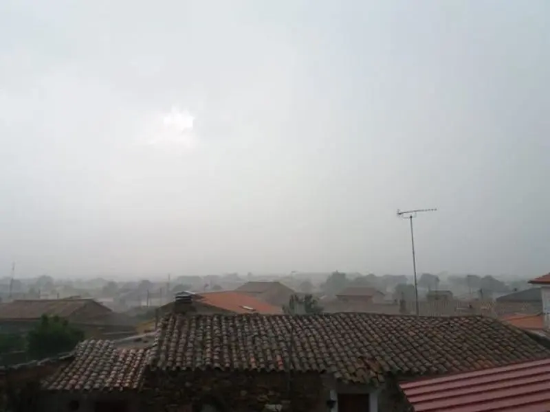 fresno de sayago