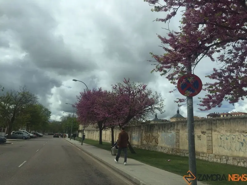 Cielos cubiertos en Zamora