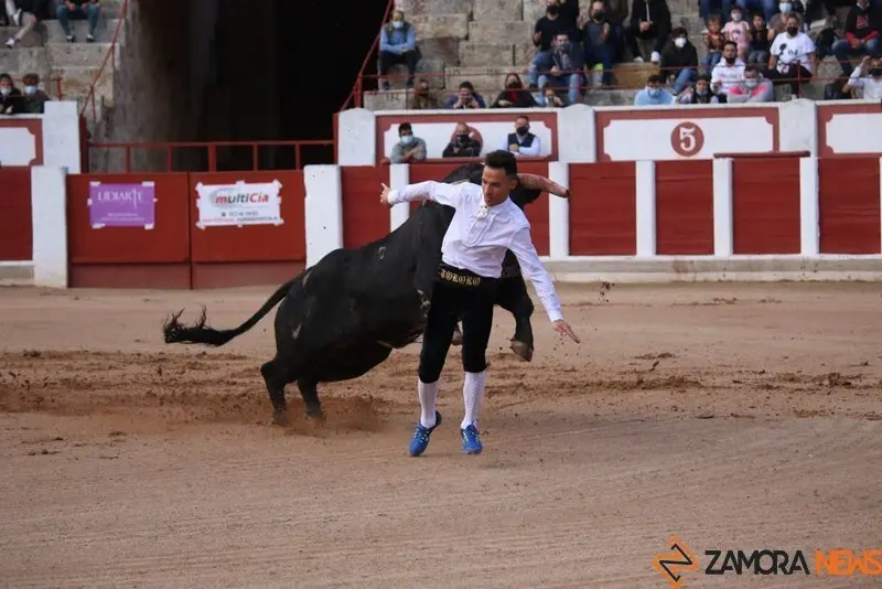 cortes goyescos (1)