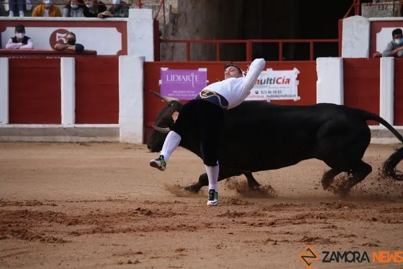 cortes goyescos (7)
