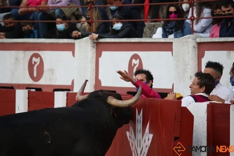 cortes goyescos (8)