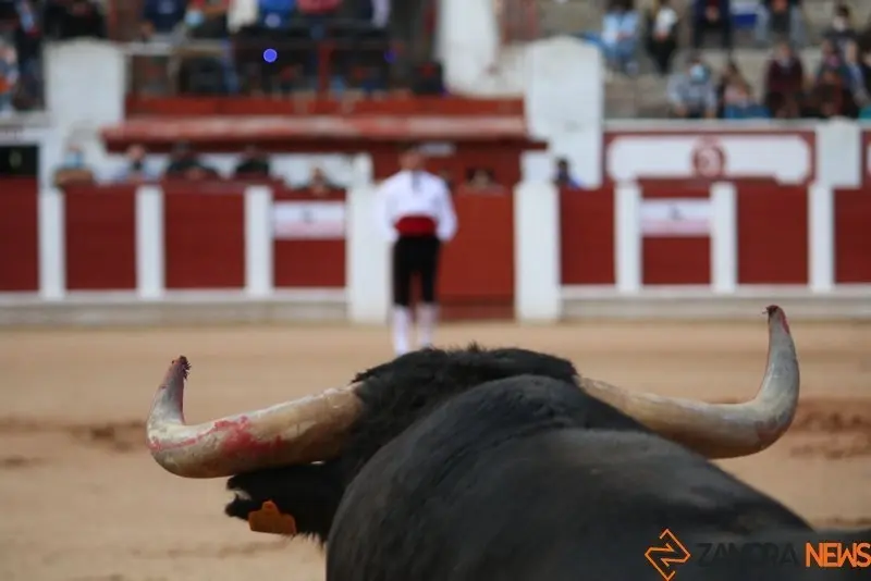 cortes goyescos (9)