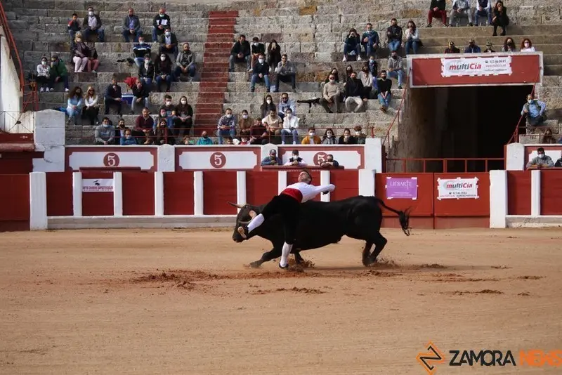 cortes goyescos (10)