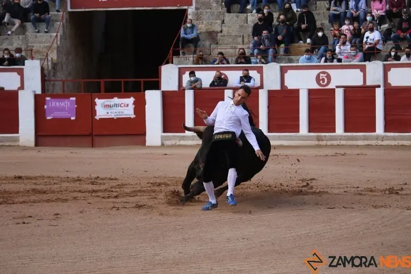 cortes goyescos (11)