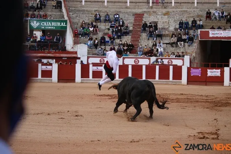 cortes goyescos (12)