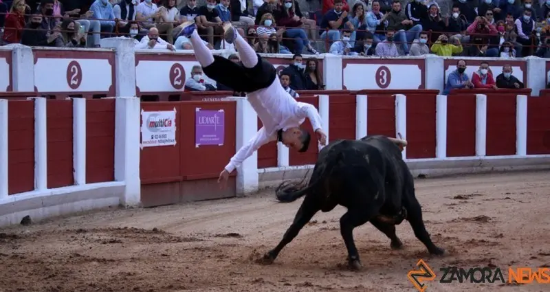 cortes goyescos (14)