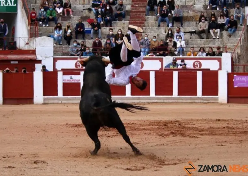 cortes goyescos (15)