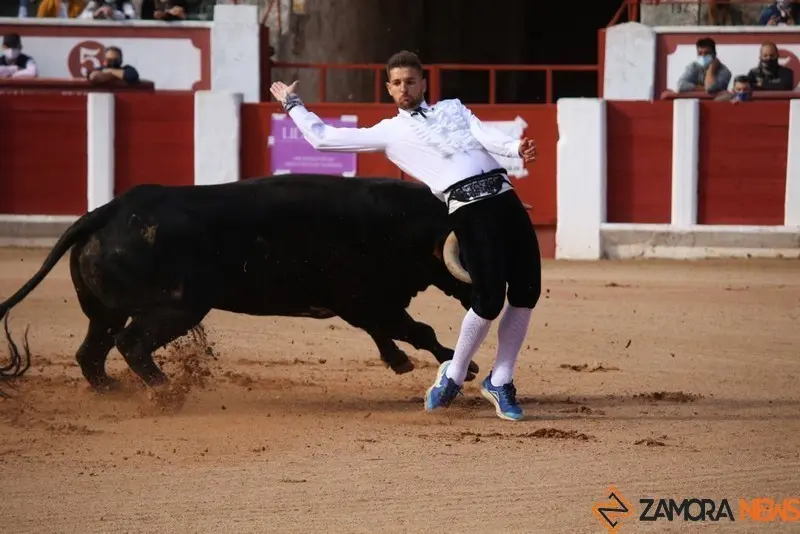 cortes goyescos (16)
